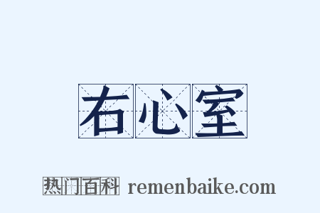 右心室是什么意思的图片